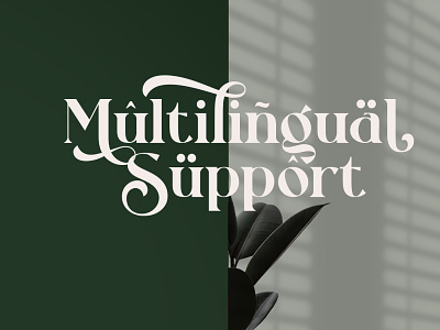 Rollgates Fabulous Font branding design font template typography