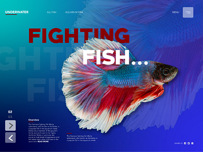 Fish Landing page fighting fish fish graphic graphic design graphics tropic ui underwater ux web web design