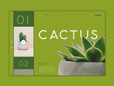 Cactus cactus design flora graphic graphic design landing page typography ui ux web web design