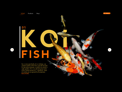 Koi Fish dark fish graphic graphic design graphics koi koi fish landing page typography ui underwater ux web web design
