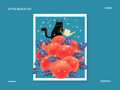 20200623 cat design illustration 插图 设计