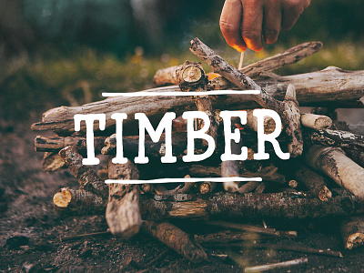 Timber Font design download font handmade letters type typeface typography vintage