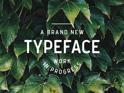 New Typeface W.I.P. font sans sans serif typeface vintage wip work in progress