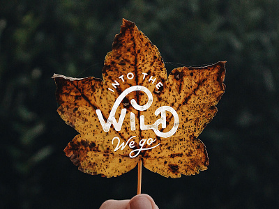 Into the Wild design hand lettering lettering script type typography