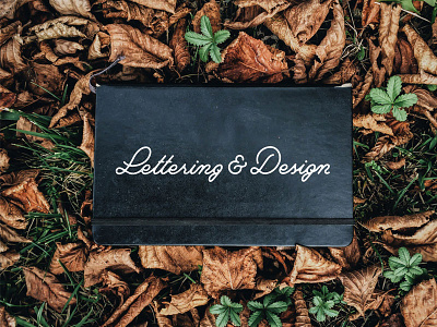Lettering & Design design hand lettering lettering script type typography