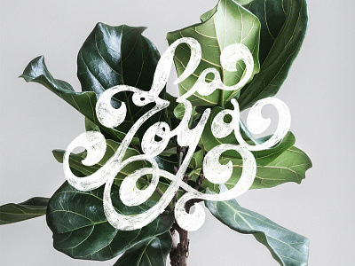 La Joya branding design hand lettering lettering logo script type typography