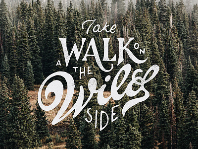 Walk on the wild site design hand lettering lettering script type typography