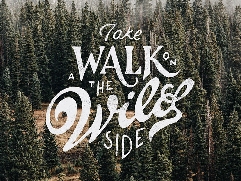 Walk on the wild site by Mark van Leeuwen on Dribbble