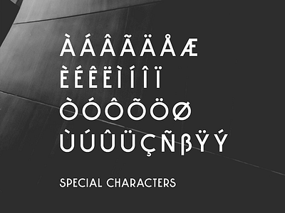 Decor Sans - Special Characters font font design fonts sans sans serif type type design typeface typography