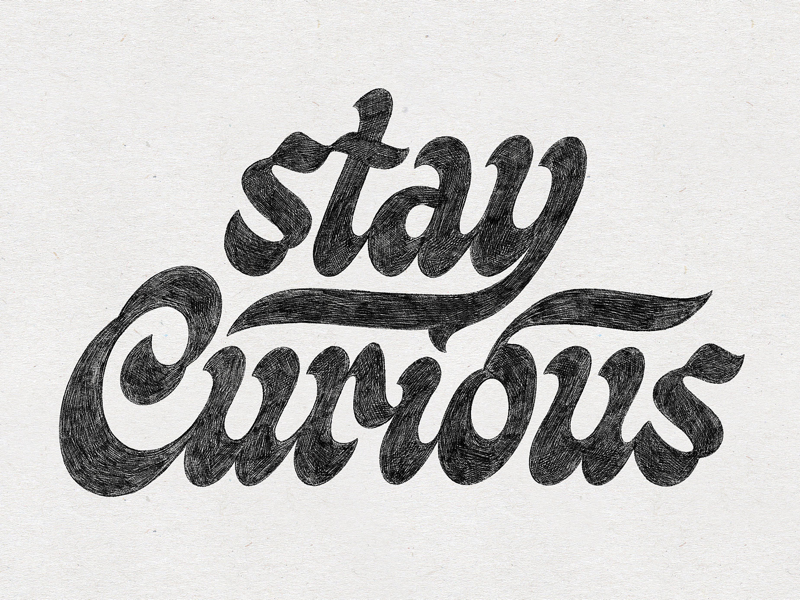 Stay Curious illustration letter script art handmade drawing design hand lettering type design sketch handlettering lettering typography type