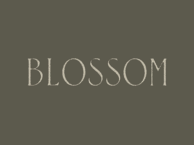 Blossom design font letter lettering letters type type design typeface typography
