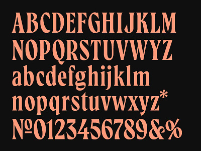 Typeface in progress