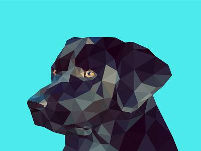 Polygonal Labrador