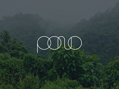 Early Logo Concept for Pono