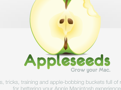 Appleseeds project raster vector