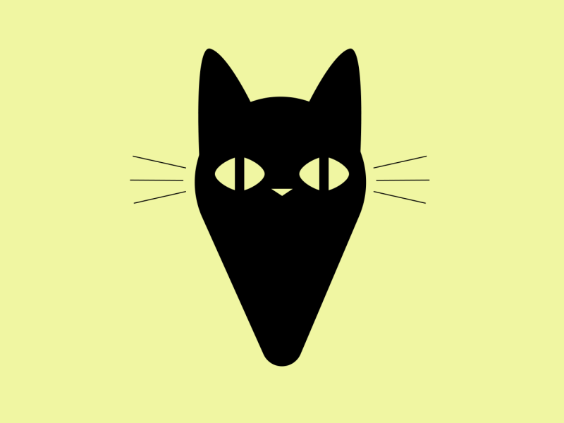 Cat Pin animation cat design illustration motion design pin