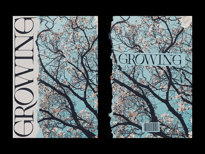 138 editorial grow growing layout poster print