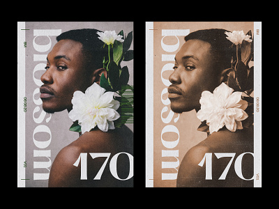 170 blossom cover editorial layout magazine poster print
