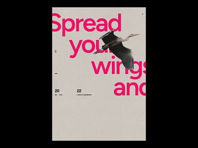 Spread your wings /390 clean design modern poster print simple type typography