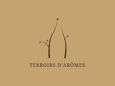 Terroirs d'arômes