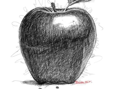 This is not Durian apple illustration scribble scribble art