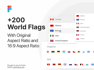 More than 200 Untouched Vector Flags