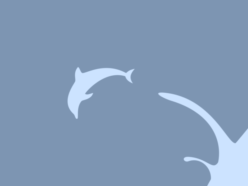 The Transforming Dolphin 2d animation dolphin flat infinite loop vector water