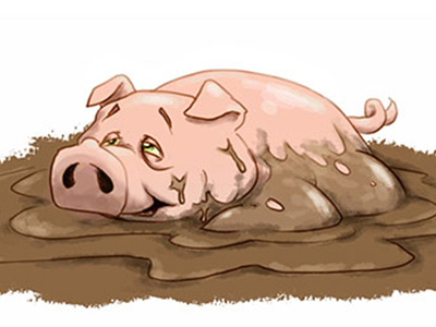 Mud Bath farm illustration mud mud bath pig