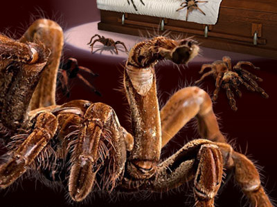 Kiss of the Tarantula design digital painting illustration mst3k rifftrax spider spiders tarantula