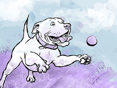 Happy Dog chase colour collective colour collective dog fetch pitbull play