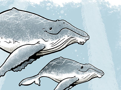 Humpbacks