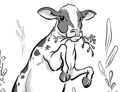 Mer-Cow cartoon cow drawing hybrid illustration mermaid mermay sketch