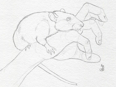 Rats: Night of Terror - Sketch drawing illustration mst3k rat rifftrax sketch