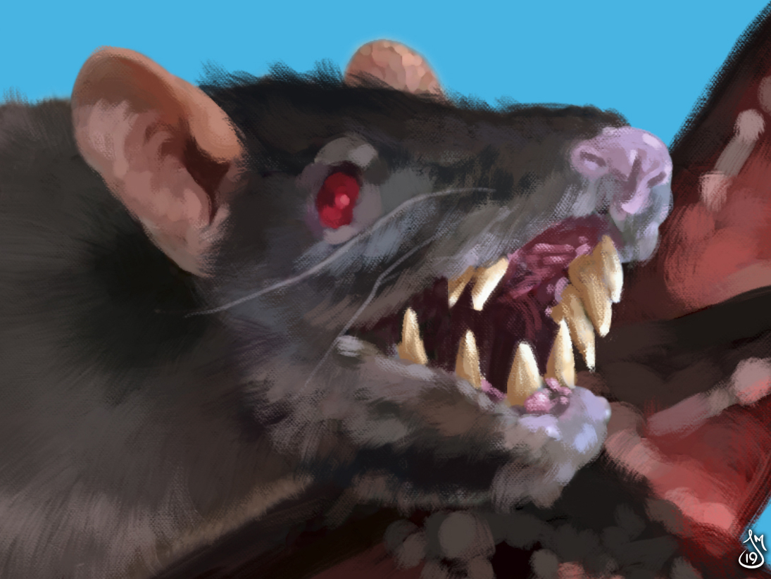 Rat Face by Jason Martin on Dribbble