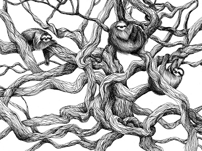 Sloths animals blackandwhite illustration sloths trees