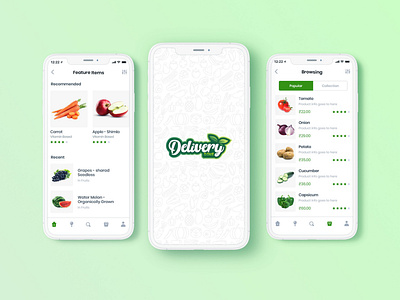 Online Grocery Store Web App for Delivery Dine
