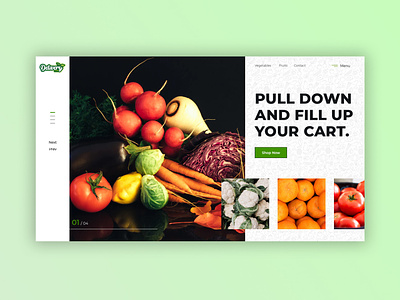Online Grocery Store Web Design for Delivery Dine