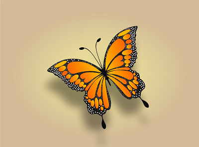 Butterfly Vector Design butterfly vector design graphic design