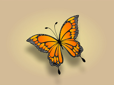 Butterfly Vector Design