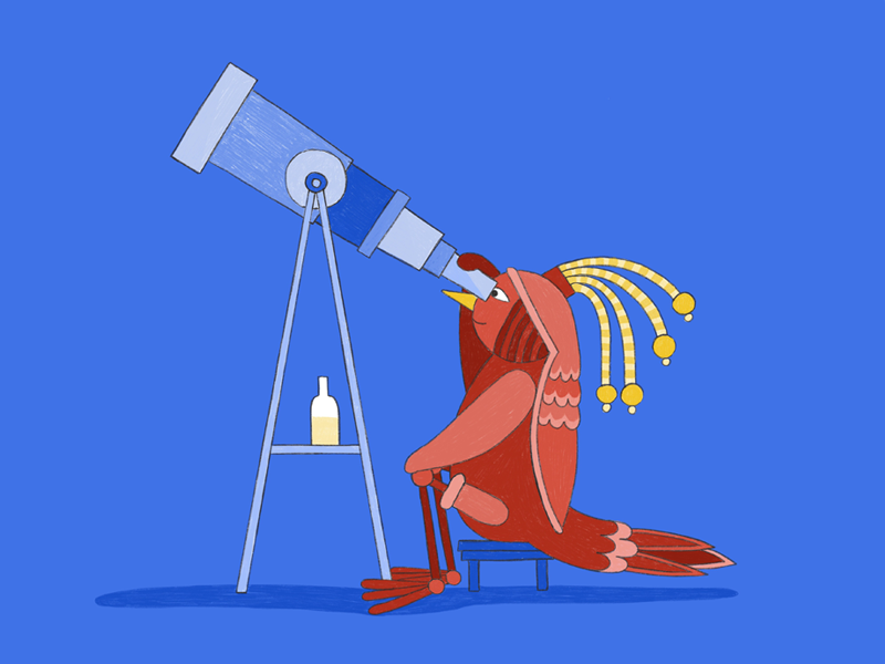 BIRD_Life on Mars telescope stars drawing copenhagen bird pencil crayon hamburg illustration