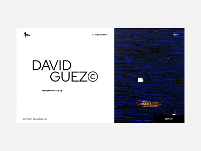 Portfolio site - David Guez art artgallery grid portfolio portfolio site typography ui ux web