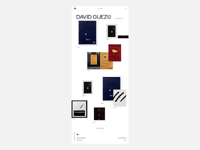 Portfolio site - David Guez artgallery artwork branding clean grid personal website portfolio portfolio website promo typography ui ux web
