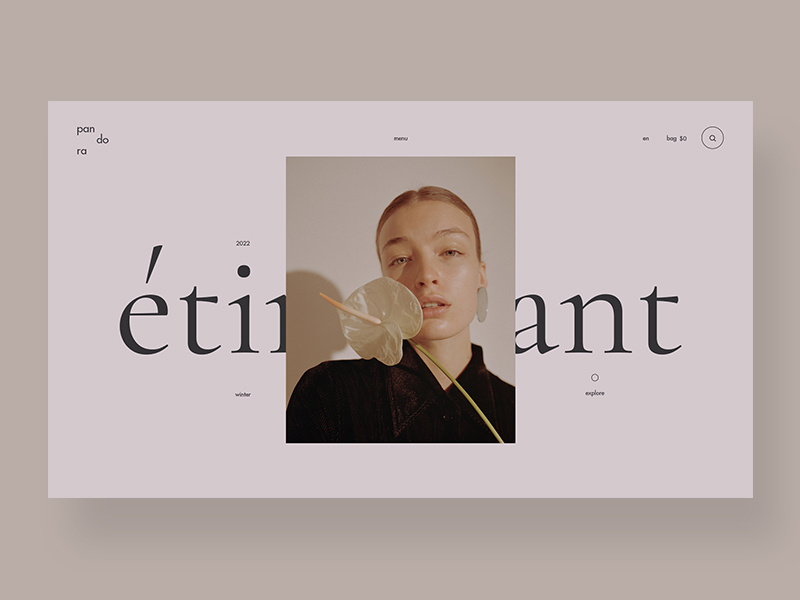 Shop logo elegant interface interface design branding design store shop fashion clean typography ui ux web