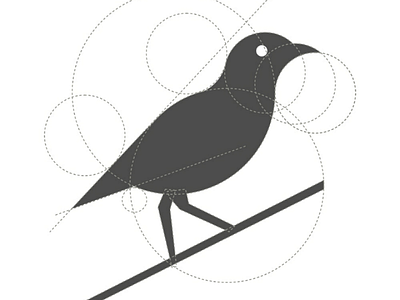 Bird logo concept bird minimalist logos