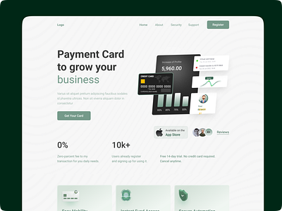 Payment Transection Website Design