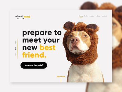 Animal Shelter Adoption Landing Page