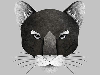 Wildcat illustration animal blackwhite cat drawing flat design graphic art head illustration nature photoshop puma texture wild wildcat