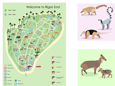 Riga Zoo map proposal animal designs animals illustrated botanical illustration design icon icons illustration map vector zoo zoo illustration zoo map