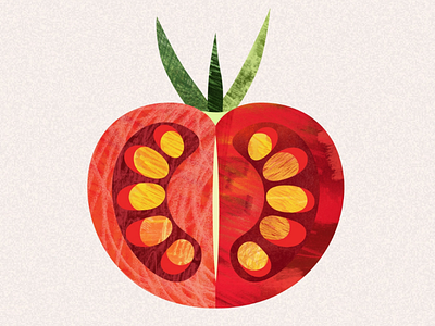 Tomato illustration botanical illustration flora floral illustration texture tomato vegetables