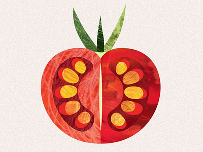 Tomato illustration